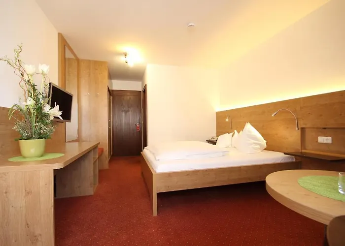 酒店 伊萨尔酒店 3*