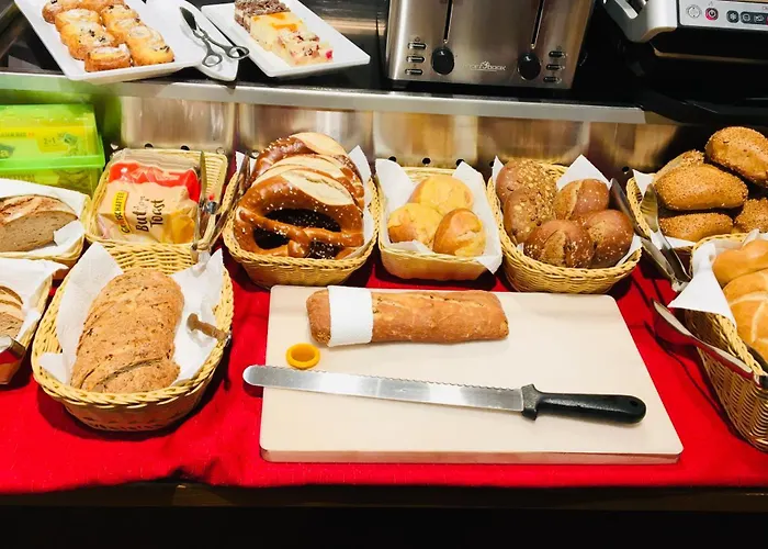 酒店 伊萨尔酒店 弗赖辛