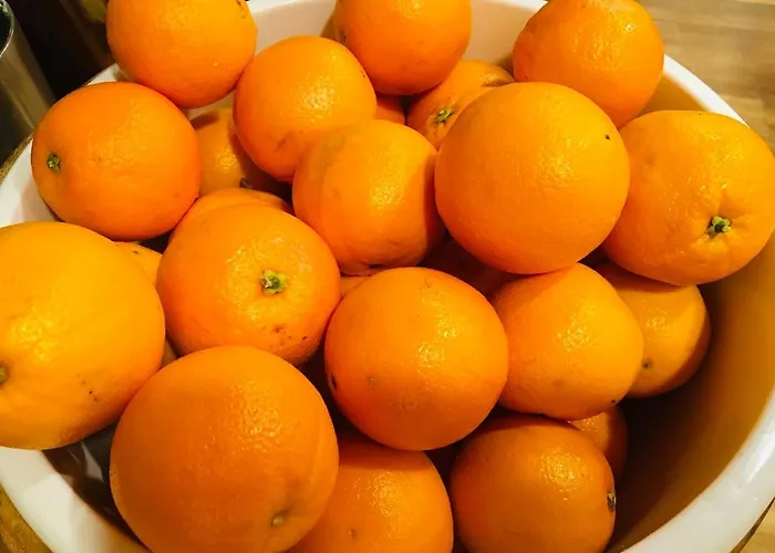 伊萨尔酒店 3* 弗赖辛