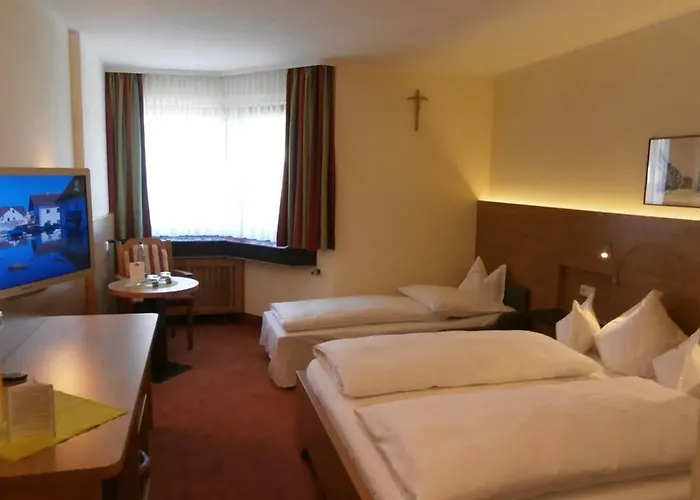 伊萨尔酒店 3* 弗赖辛