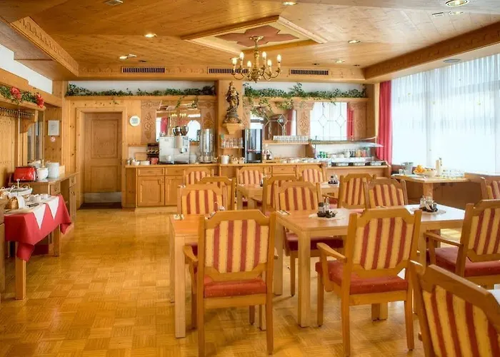 伊萨尔酒店 3* 弗赖辛